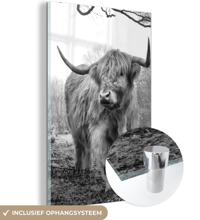 MuchoWow® Glasschilderij 120x180 cm - Schilderij acrylglas - Schotse Hooglander - Bos - Mist - Koe - Dieren - Natuur - Foto op glas - Schilderijen