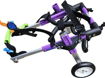 Hond rolstoel, Dogs wheelchair, hond rolstoel, dieren, rolstoel voor honden, hondbrace, hond, revalidatie hulp, disabled dog wheelchair, hond harnesses, handicap hond rolstoel, hond brace, rolstoel, hond ondersteuning, loophulp, rolstoel maat XS.