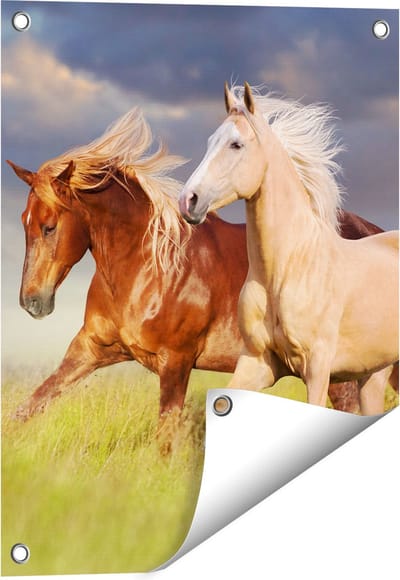 Gards Tuinposter Bruin en Wit Paard in de Wei - 40x50 cm - Tuindoek - Tuindecoratie - Wanddecoratie buiten - Tuinschilderij