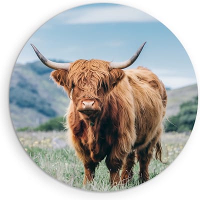 Saammp Muurcirkel Hout - Schotse Hooglander Koe - Bloesem - Landschap - Dieren - Natuur - Ø 90 - Wandcirkel - Wanddecoratie Cirkel - muurdecoratie Woonkamer - Slaapkamer decoratie - Rond Schilderij