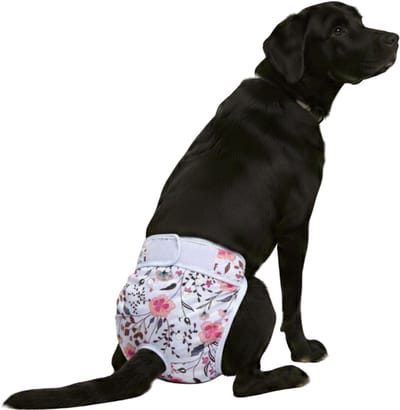 Loopsheidbroekje hond - Roze bloem - Maat XL - Voor grote honden - Herbruikbaar - Hondenluier - Wasbaar