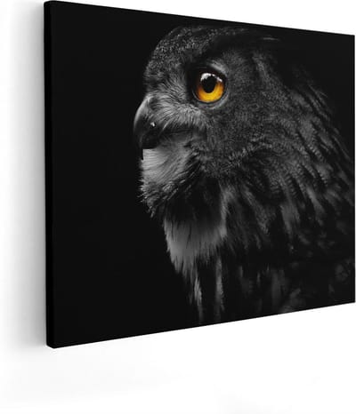 Artaza Canvas Schilderij Dierenkop Uil - 50x40 cm - Muurdecoratie Vogel - Wanddecoratie Dierenkop - Kamer Accessoires Woonkamer
