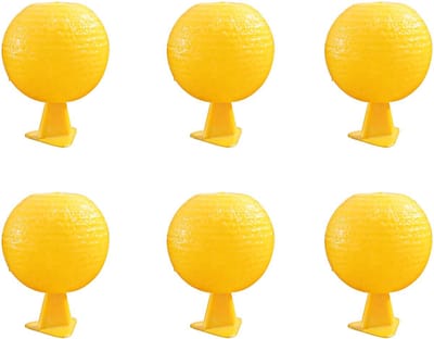 Fruitvliegjes Vanger - 6 Stuks - Fruitvliegjes Bestrijden - Rouwvliegjes Bestrijden - Zeer Effectief - Direct Werkzaam - Milieuvriendelijk