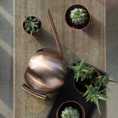 Roestvrijstalen gieter met lange tuit voor tuinieren - watergift, planten, bloemen