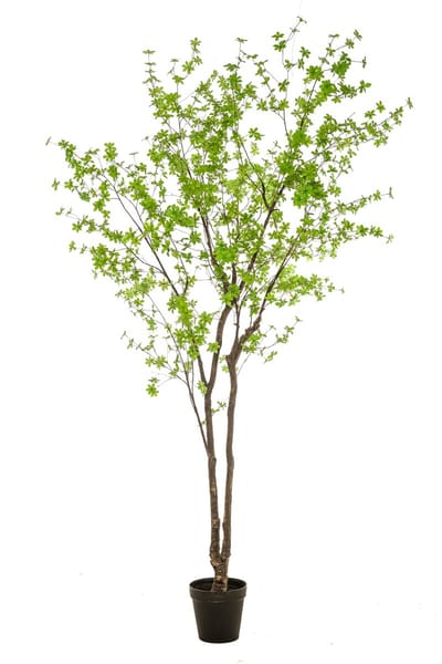 Emerald - Kunstboom Tropaeolum 300cm - Kunstplant voor binnen - Tropaeolum plant - Oost Indische kers