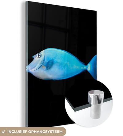 MuchoWow® Glasschilderij 120x160 cm - Schilderij acrylglas - Vis - Zeedieren - Zwart - Foto op glas - Schilderijen