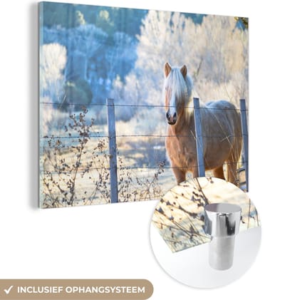 MuchoWow® Glasschilderij 40x30 cm - Schilderij acrylglas - Paard - Winter - Sneeuw - Foto op glas - Schilderijen