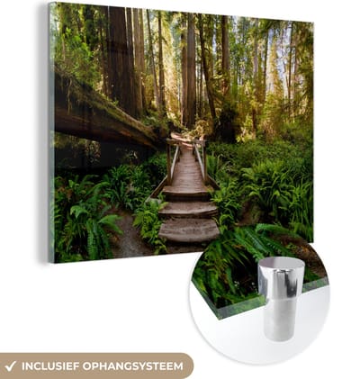 MuchoWow® Glasschilderij 80x60 cm - Schilderij acrylglas - Jungle - Natuur - Trap - Bomen - Foto op glas - Muurdecoratie woonkamer - Wanddecoratie slaapkamer - Schilderijen