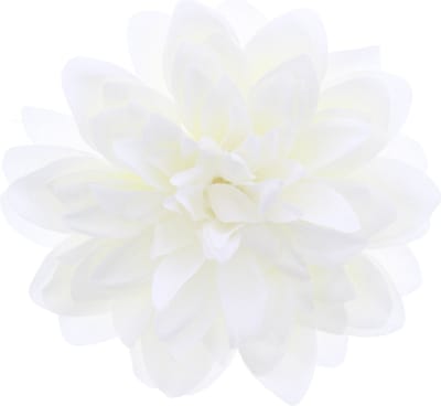Zac's Alter Ego - Large chrysanthemum Haarbloem - Wit