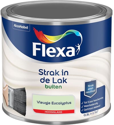 Flexa - Strak In De Lak Buitenlak Hoogglans - Vleugje Eucalyptus - Mengverf - 500 Ml