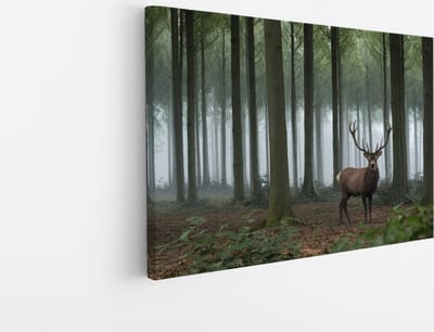 Saammp Canvas Schilderij - Hert in de Natuur - Dieren - 45x30 - Foto op canvas - Wanddecoratie - Muurdecoratie Woonkamer - Slaapkamer decoratie - Canvas Print