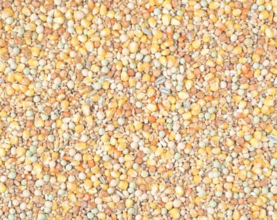Natural Kweek Maxi Cribs 2m 25KG