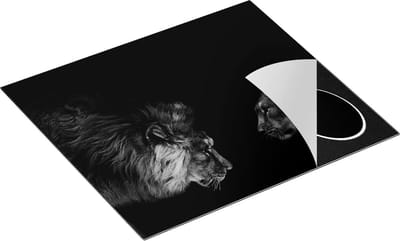 Chefcare Inductie Beschermer Leeuw en Leeuwin - Zwart Wit - 60x50 cm - Afdekplaat Inductie - Kookplaat Beschermer - Inductie Mat