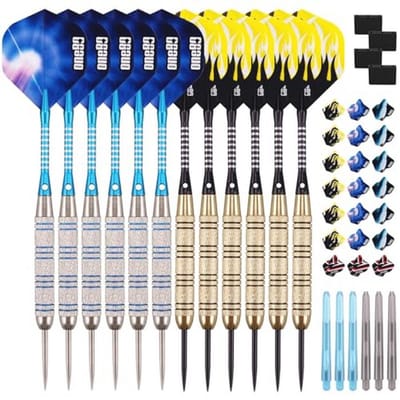 Professionele Steel Darts - 12 Stuks van 20 Gram Metalen Punten