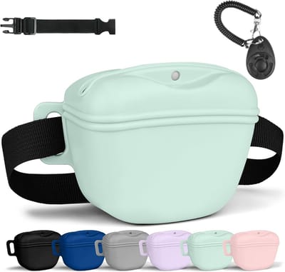 SnelShoppen - Premium Silicone Hondentrainingszak met Magnetische Sluiting - Draagbare Hondensnoepzak - Voor Wandelen en Training - Duck Egg Green