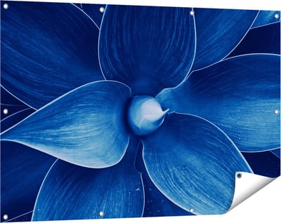Gards Tuinposter Blauwe Agave Plant - Bloem - 120x80 cm - Tuindoek - Tuindecoratie - Wanddecoratie buiten - Tuinschilderij