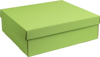 Geschenkdoos met deksel karton LICHTGROEN 40x30x12cm (5 stuks)