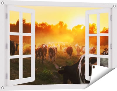 Gards Tuinposter Doorkijk Kudde Koeien in Weiland bij Zonsondergang - 90x60 cm - Tuindoek - Tuindecoratie - Wanddecoratie buiten - Tuinschilderij