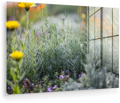 ® Glasschilderij 180x120 cm - Schilderij acrylglas - Rozemarijn in een kleurrijke kruidentuin - Foto op glas - Muurdecoratie woonkamer - Wanddecoratie slaapkamer - Schilderijen