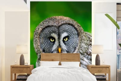Behang - Fotobehang Vogel - Uil - Dieren - Bruin - Portret - Breedte 205 cm x hoogte 280 cm