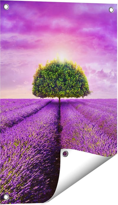 Gards Tuinposter Groene Boom in de Lavendel Bloemen - 40x60 cm - Tuindoek - Tuindecoratie - Wanddecoratie buiten - Tuinschilderij