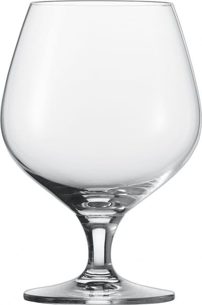 Schott Zwiesel Mondial Cognacglas 47 - 0.51 Ltr - set van 6