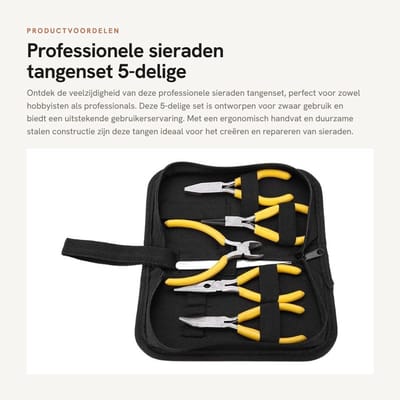 Dailygoods- Sieradentangenset 5-delig - Professionele Punttang - Buigtang/Zijdelingse Diagonaaltang - Platbektang/Rondbektang - Pincet - Draagbare Opbergtas - Sieradentools
