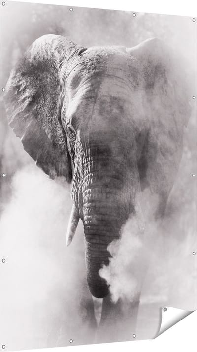 Gards Tuinposter Olifantenkop - Olifant - Zwart Wit - 120x180 cm - Tuindoek - Tuindecoratie - Wanddecoratie buiten - Tuinschilderij