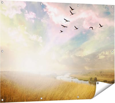Gards Tuinposter Groep Vogels Vliegen Boven het Gras - 120x90 cm - Tuindoek - Tuindecoratie - Wanddecoratie buiten - Tuinschilderij
