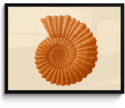 Poster in lijst - Fotolijst 70x50 cm - Posters - Schelp - Oranje - Ribbels - Posterlijst zwart - Decoratie - Wanddecoratie woonkamer - Muurdecoratie slaapkamer