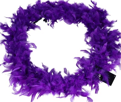 Carnaval verkleed veren boa slinger - paars - 180 cm - 50 gram - Dames - verkleed accessoires - kerstversiering