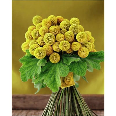 Peinture diamant 5D à fleurs sphériques, broderie complète ronde à faire soi-même, point de croix 20X30CM yellow