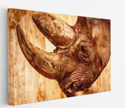 Saammp Canvas Schilderij - Neushoorn - Natuur - Dieren - 45x30 - Foto op canvas - Wanddecoratie - Muurdecoratie Woonkamer - Slaapkamer decoratie - Canvas Print