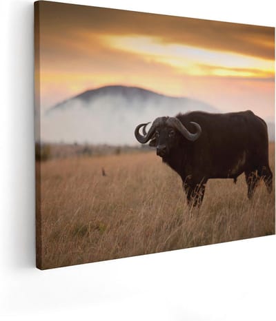Artaza Canvas Schilderij Dierenkop Buffel - 50x40 cm - Wanddecoratie Wilde Dieren - Muurdecoratie Afrikaans - Kamer Accessoires Woonkamer