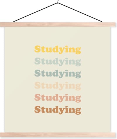 Posterhanger incl. Poster 40x40 cm - Schoolplaat - Studeer - Leren - Quotes - Studenten - Study - Textielposter - Blanke latten