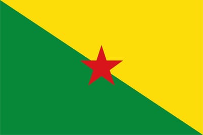 Vlag Frans-Guyana 100x150cm - Glanspoly