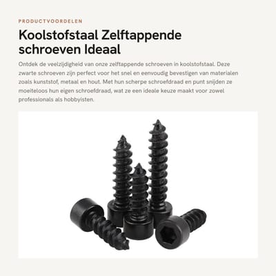 Dailygoods- Zelftappende Schroeven Zwart - Binnenzeskantschroeven - M2,6 x 6 mm - 200 Stuks - Bevestigingselementen - Voor Hout/Kunststof/Metaal - Bevestigingsschroeven