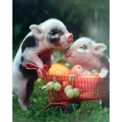 Peinture diamant thème petits cochons mignons, image 5D, mosaïque à faire soi-même, strass, décoration de la maison 20X30CM gray