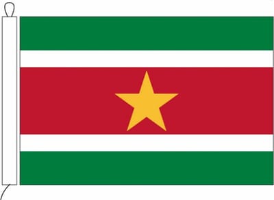 Surinaamse vlag van Suriname 20 x 30 cm