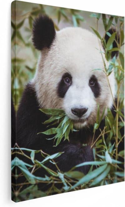 Artaza Canvas Schilderij Dieren - 30x40 cm - Klein - Wanddecoratie Panda - Muurdecoratie Jungle - Kamer Accessoires