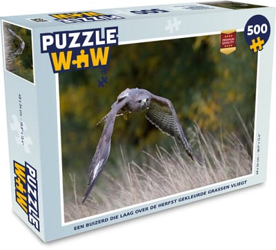 Puzzel Een buizerd die laag over de herfst gekleurde grassen vliegt - Legpuzzel - Puzzel 500 stukjes