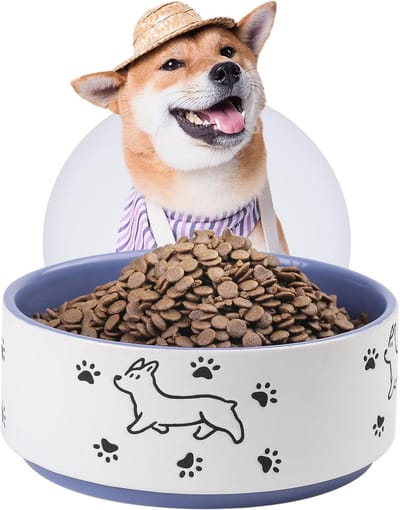 Grote Keramische Hondenbak met Pootafdruk - Water- en Voerbak voor Middelgrote en Grote Honden (1900 ml)