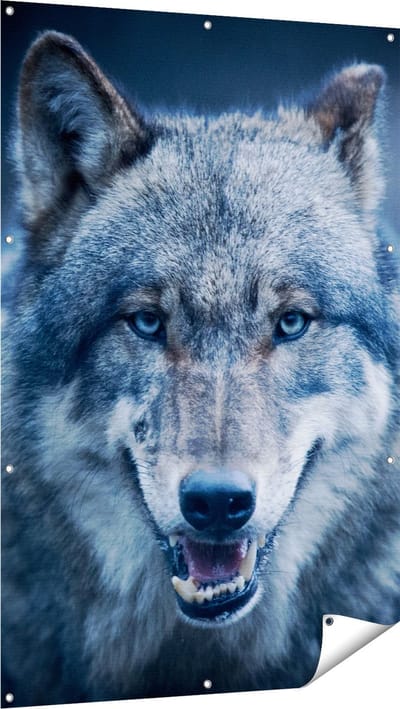 Gards Tuinposter Wolvenkop met Blauwe Ogen - Wolf - 100x150 cm - Tuindoek - Tuindecoratie - Wanddecoratie buiten - Tuinschilderij