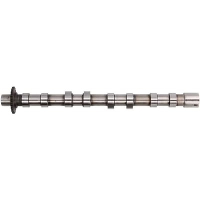 Nokkenas  AE CAM976
