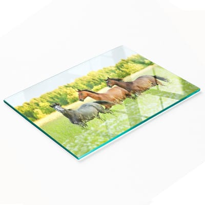 Glazen serveerplank met afbeelding van galopperende paarden, 80x52 cm
