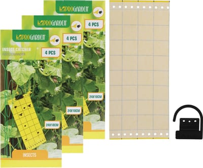 Pro Garden Fruitvliegjes val fruit hangende plaatjes - 12x stickers - ongedierte bestrijding - Insecten/vliegen vallen