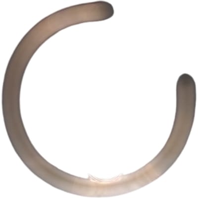 Retainer-piston pin