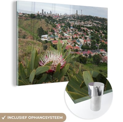® Glasschilderij 180x120 cm - Schilderij acrylglas - De natuur van Johannesburg in Zuid-Afrika - Foto op glas - Muurdecoratie woonkamer - Wanddecoratie slaapkamer - Schilderijen
