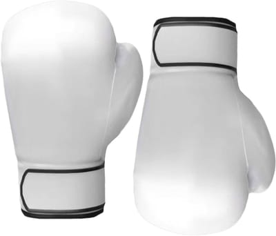 Bokshandschoenen - Trainingshandschoenen - Krachtige Training - Versterkte Stiksels - 10 oz - Wit