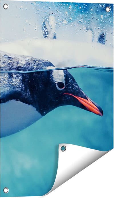 Gards Tuinposter Pingu�n Zwemt in het Water - 40x60 cm - Tuindoek - Tuindecoratie - Wanddecoratie buiten - Tuinschilderij